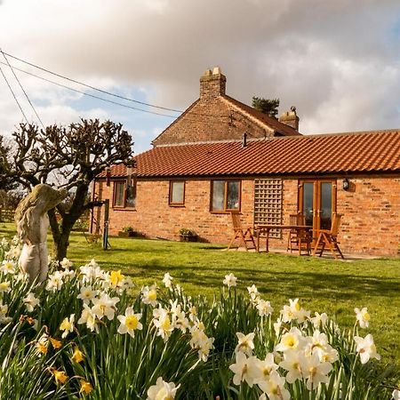 Morndyke Cottage Thirsk Bagian luar foto